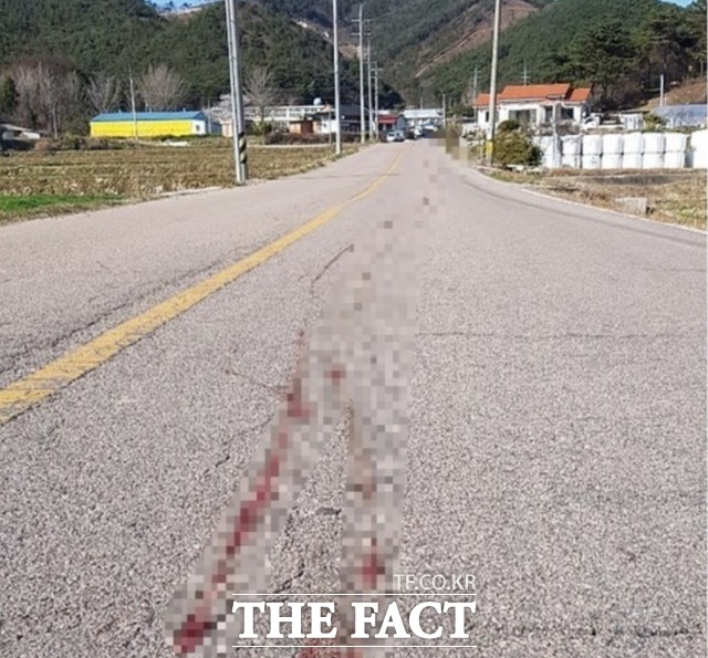 비영리 동물권 단체 ‘케어’ 공식 인스타그램 계정