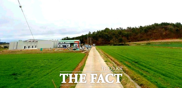 확·포장 공사 이전의 기존 농로 모습 / 다음지도 갈무리