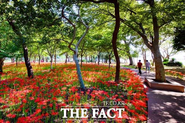 앵강다숲 풍경/남해군 제공