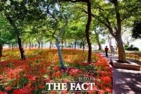  남해 힐링 국민여가 캠핑장 16일 개장