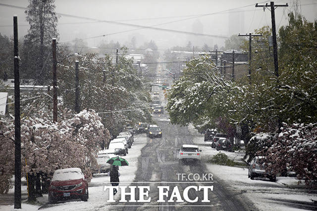 사상 첫 4월 눈 내린 포틀랜드.