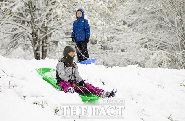 11일(현지시간) 미국 오리건주 포틀랜드 타보르 산에 눈이 내린 가운데 아이들이 눈썰매를 타고 있다. /포틀랜드=AP.뉴시스