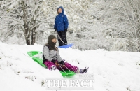  미국 포틀랜드 '사상 첫 4월 눈' [TF사진관]