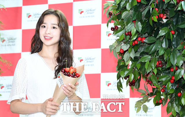 전 리듬체조 국가대표 선수 손연재(28)가 악성 댓글을 단 네티즌 180여명을 경찰에 고소했다. /임세준 기자