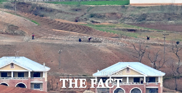 한국을 향해 선전용 마을을 지었지만 관리가 전혀 되지 않은 모습. 주택 뒤로 주민들이 농사를 짓고 있다.