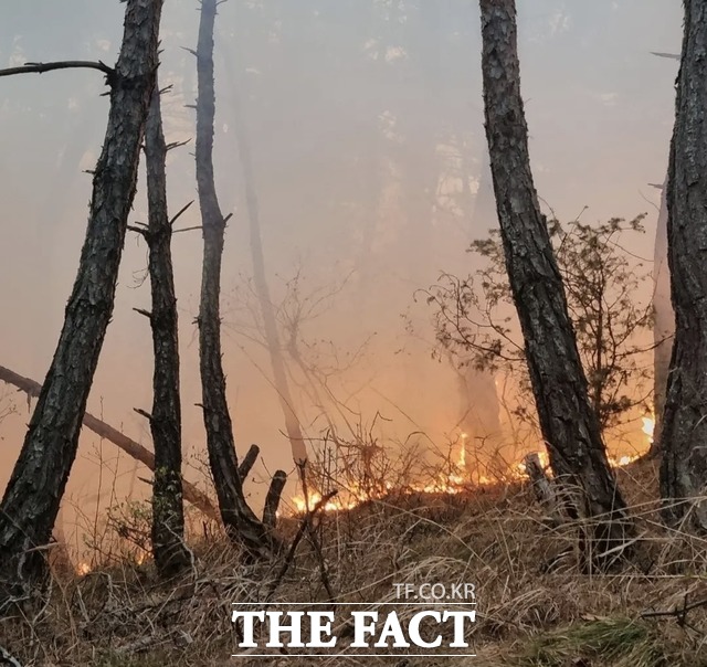 경북 군위에서 발생한 산불이 재발화해 산림 및 소방 당국이 헬기 16대를 투입해 진화에 나섰다. /의성소방서 제공