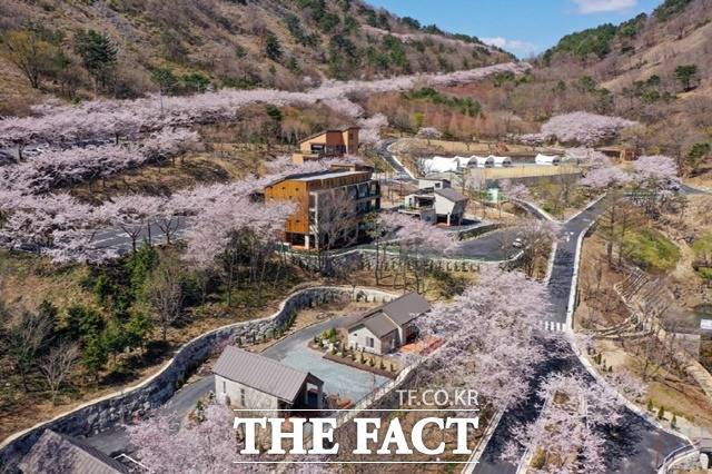 진주 월아산 자연휴양림 전경/진주시 제공