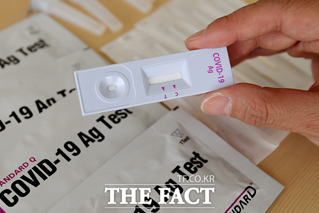 코로나19 자가검사키트 / 더팩트DB