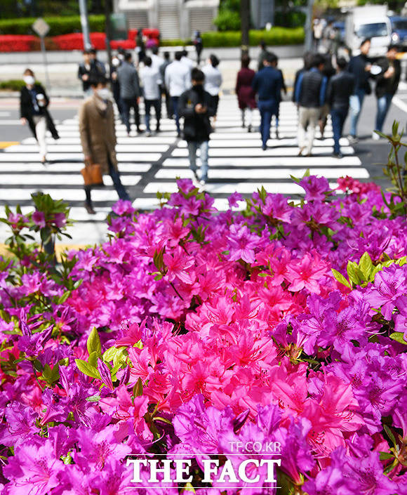 화창한 봄 날씨를 보이는 가운데 서울 영등포구 여의도공원을 찾은 직장인들이 점심시간을 이용해 봄기운을 만끽하고 있다/더팩트DB