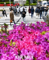  [오늘의 날씨]외출하기 좋은 봄날...일교차는 20도