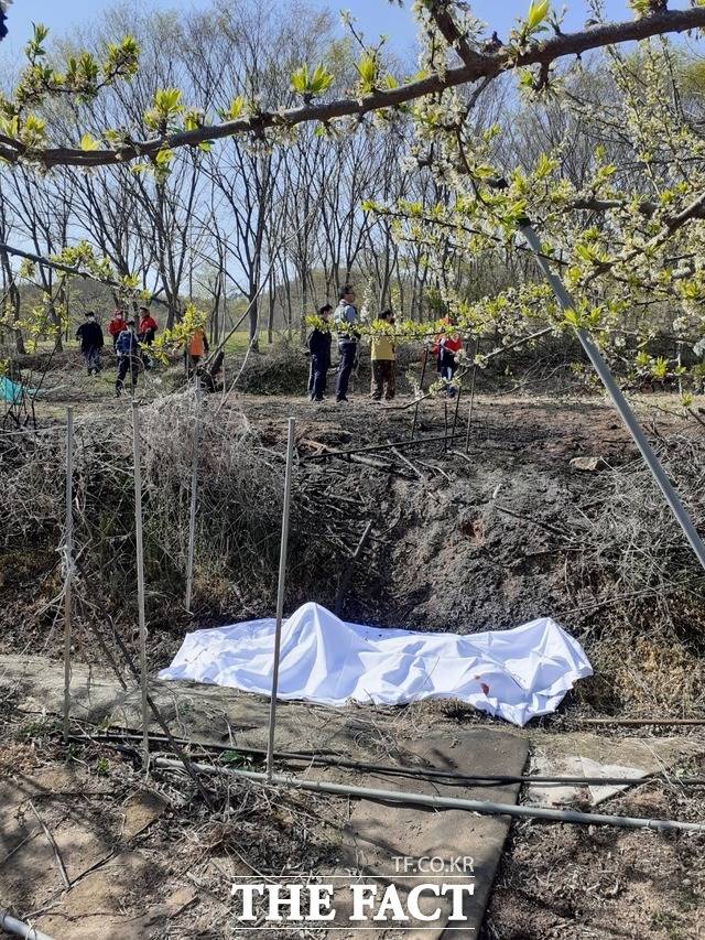 안동시 남후면의 한 야산 인근 밭에서 70대 남성이 숨진 채 발견됐다. /경북소방본부 제공