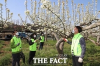  충남세종농협, 천안서 배꽃 화접 봉사