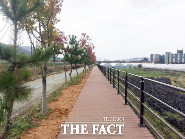 정읍시 관계자는 “자전거도로에 보행로를 개설해 안전사고를 최소화하고, 보행자와 자전거 이용자의 여가 환경개선에도 도움이 됐다”며 “남은 구간 사업도 조속히 추진해 안전하고 편리한 정읍천을 만들겠다”고 말했다. / 정읍시 제공
