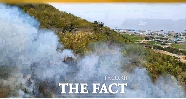 포항시 호미곶면 대보리 산불/산림청 제공