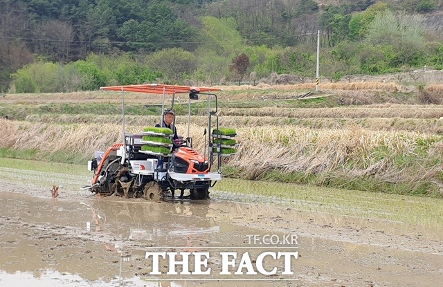 함양군 지곡면 덕암마을 앞들에서 올해 첫 모내기를 하고 있다./함양군 제공