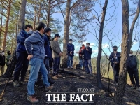  강원·경북 산불 피해 복원 방향 추진협의회 운영한다