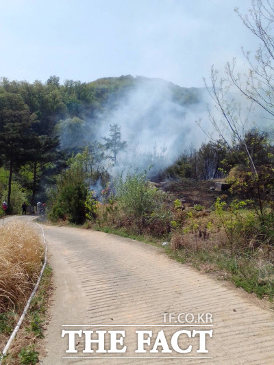 19일 오후 1시 45분쯤 대구 북구 읍내동의 산 92 일원에서 원인을 알 수 없는 불이 났다./산림청 제공