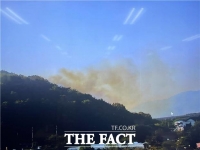  대구 달성군 야산서 불...산림 0.07ha 소실