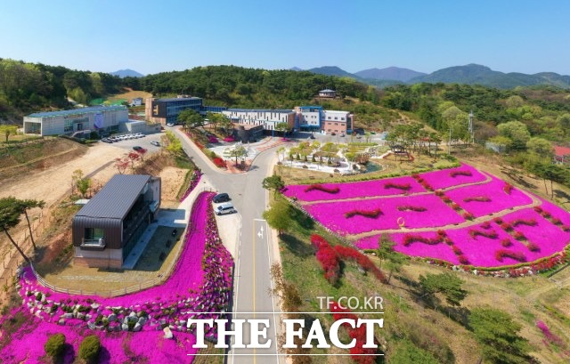 순창 쉴랜드 건강장수연구소에 분홍빛 꽃잔디가 만발했다. /순창군 제공