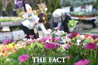  [오늘의 날씨] 낮 최고 기온 28도, 수도권 미세먼지 '나쁨'