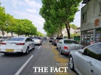  전북 전주 완산공원 꽃동산 개방… 시민들 '힐링', 인근주민 '몸살'