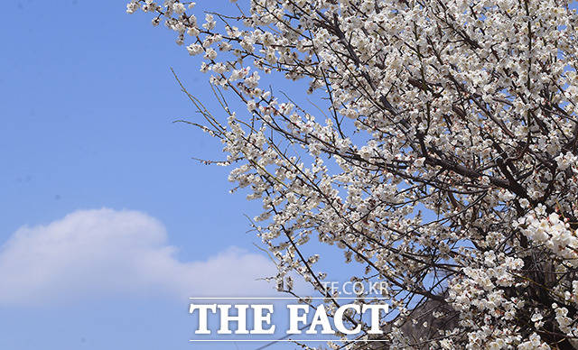 목요일인 27일은 낮과 밤 기온차가 15~20도로 큰 날씨가 되겠다./이동률 기자