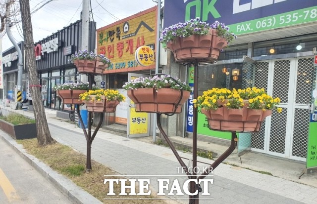 정읍시 관계자는 “지역주민과 관광객이 지역 곳곳에서 시각적 즐거움과 함께 자연의 향기를 느낄 수 있도록 녹지공간 확보와 가로수 노선 조성 · 유지에 최선을 다할 것”이라고 말했다. / 정읍시 제공