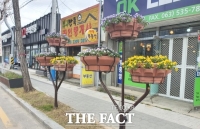  정읍시, 녹지공간 확보와 가로수 조성·유지 ‘총력’