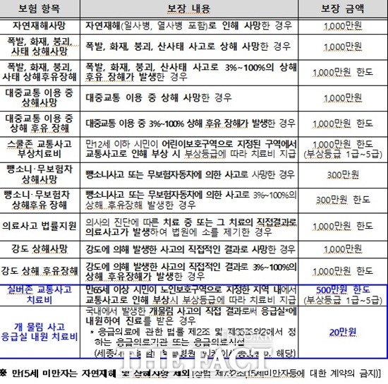 실버존 교통사고 치료비와 개물림 사고 응급실 내원 치료비가 추가돼 세종시민안심보험이 총 13가지로 확대됐다. / 세종시 제공