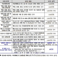  세종시 개물림·실버존 교통사고도 사회안심보험 보장