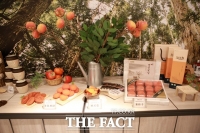  산림청 세계산림총회 기간 수출 임산물 홍보관 운영