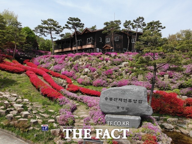 홍성군은 오는 23일부터 용봉산자연휴양림 숙박시설 전부를 개방한다. / 홍성군 제공