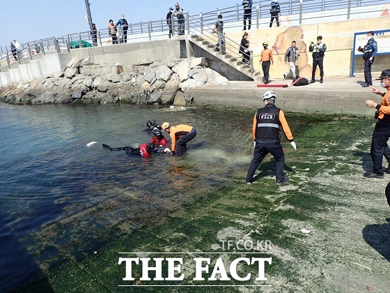 부산 기장군에 있는 동백항 인근 바다에 경차가 추락, 1명이 숨졌다./부산소방본부 제공.