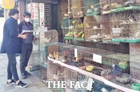  정읍시, 동물보호법 전면 개정 “동물 학대 사건 · 사고 막는다”