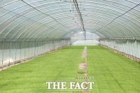  홍성농업기술센터, '못자리 수급은행' 운영