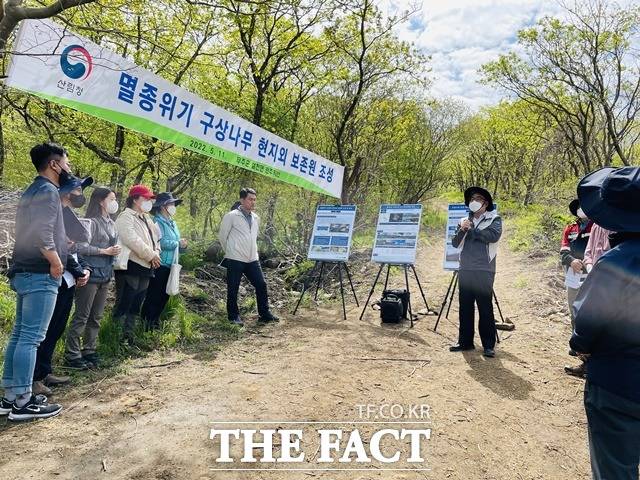 산림청이 멸종위기 구상나무 보존을 위해 전북 무주군에 유전자원 보존원을 조성한다. / 산림청 제공