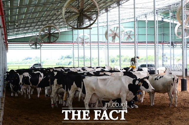 홍성군은 관내 축산농가 17호에 축산분야 ICT 융복합 확산사업과 축사시설현대화 사업으로 보조금과 융자금 포함 56억여원을 지원한다. / 홍성군 제공