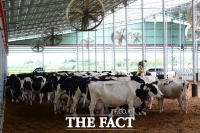  홍성군, 축산환경 개선사업에 56억 지원