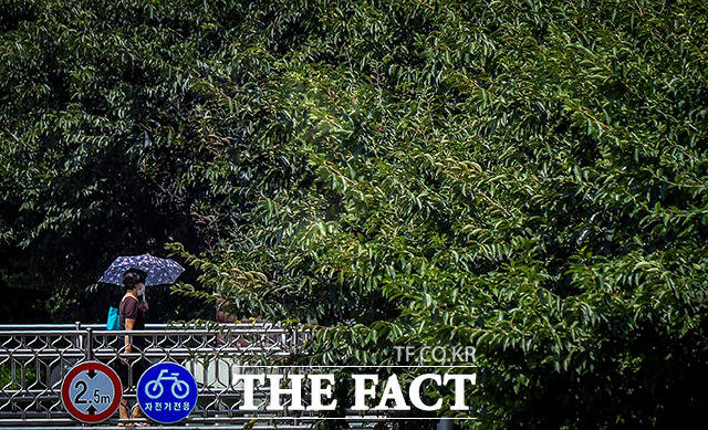 월요일인 16일은 전국이 대체로 맑은 날씨를 보이겠다. 원활한 대기확산으로 미세먼지 농도는 좋음 수준이 예상된다. /더팩트DB