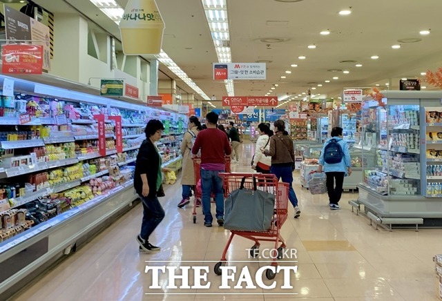 24일 한국은행이 발표한 5월 소비자동향조사에 따르면 기대인플레이션율은 3.3%로 집계됐다. 사진은 롯데마트 서울역점 내부모습으로 기사의 특정 사실과 무관하다. /더팩트 DB