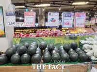  정읍 '단풍미인 씨 없는 수박' 출하… 전국 1등 수박 노린다