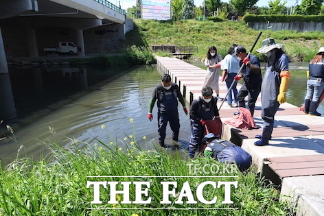 경기 안산시는 안산천 꿈의 교회 인근에서 발생한 잉어 떼죽음 사고와 관련해 긴급조치에 나섰다고 26일 밝혔다./안산시 제공