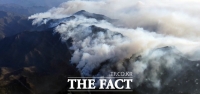  환경단체 “산불 나무 모두베기 중단해야…기후위기 악화
