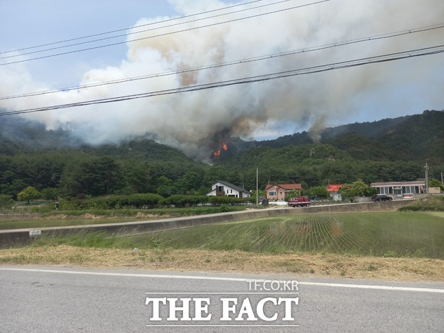 28일 낮 12시 6분쯤 경북 울진군 근남면 행곡리 산 27-6 일원에서 불이 나 산림당국 등이 진화에 나섰다. /경북소방본부 제공