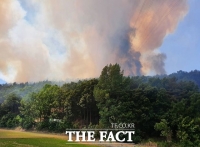  대구 달성군 야산서 불…진화중