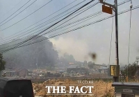  봉화군 물야면 야산서 불 …진화 중