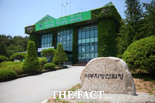 서부지방산림청은 산림병해충의 예찰과 방제를 효율적으로 추진하고자 6월 1일부터 8월 31일까지 지역 산림병해충 예찰·방제 대책본부를 운영한다. /서부지방산림청 제공