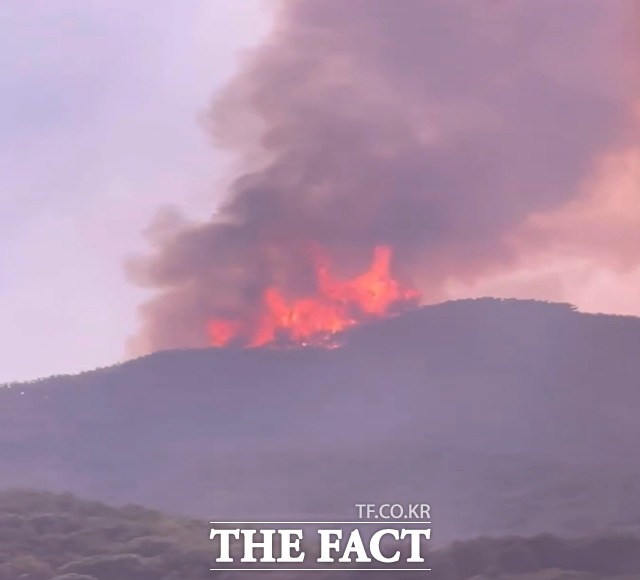 산림청은 3일 오전 10시를 기해 밀양 산불 주불을 완전 진화했다고 밝혔다. 사진은 2일 오전 여전히 불기둥이 솟아 오른 밀양 부북면 춘화리 화산의 모습./독자 제공
