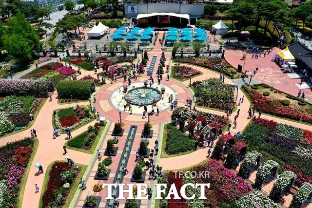 곡성 세계장미축제 / 사진=이병석 기자