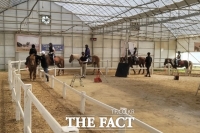  [경기단신] 파주시, 사회공익 승마체험 신청자 추가 모집 등